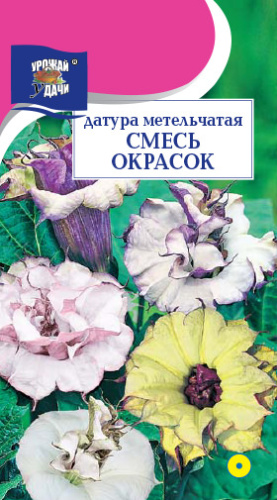 Датура Смесь Метельчатая 