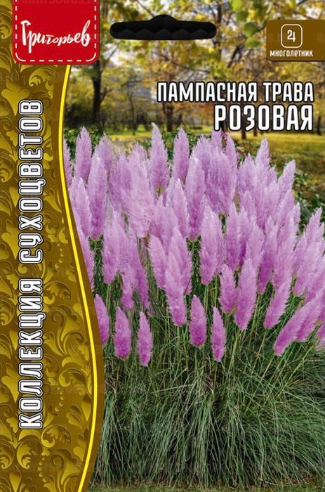 Пампасная трава Розовая (Кортадерия)