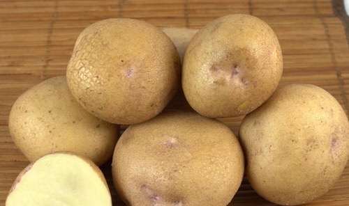 Картофель семенной Синеглазка 2016 2кг (Суперэлита)