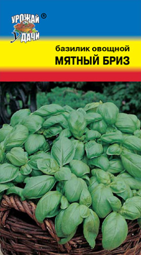 Базилик Мятный бриз 