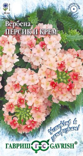 Вербена Персик и Крем гибридная 