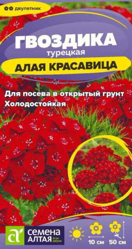 Гвоздика Алая красавица турецкая