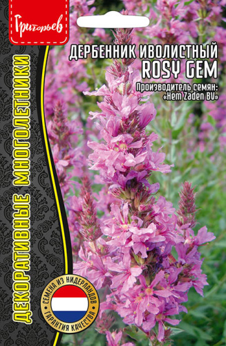 Дербенник Розовый Джем (Rosy Gem)