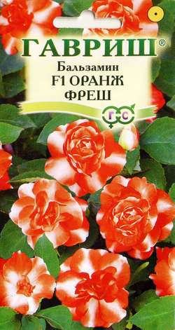 Бальзамин Оранж фреш Уоллера F1  махр