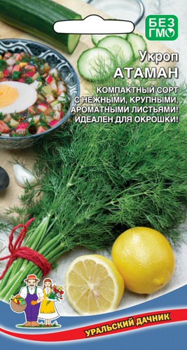 Укроп Атаман 