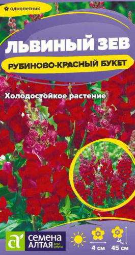 Львиный зев Рубиново-красный букет 