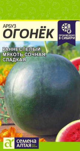 Арбуз Огонёк 