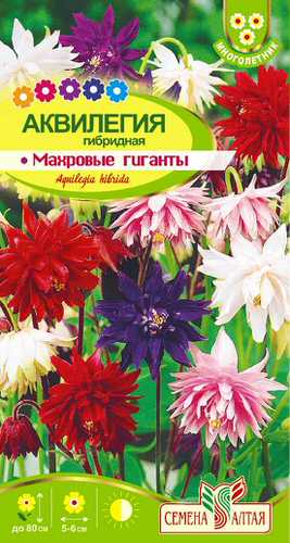 Аквилегия Махровые Гиганты Смесь