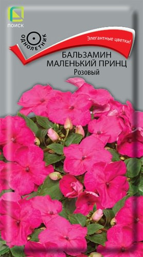 Бальзамин Маленький принц Розовый
