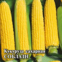 Кукуруза Сахарная Соблазн 50г купить