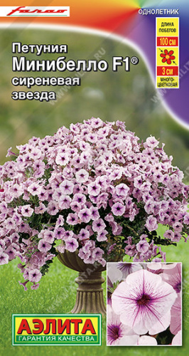 Петуния мини Минибелло F1 сиреневая звезда многоцветковая