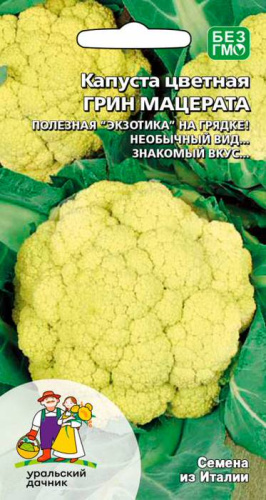 Капуста (цветная) Грин Мацерата 