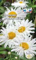 Нивяник Восхищение  купить