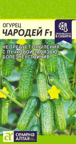 Огурец Чародей F1