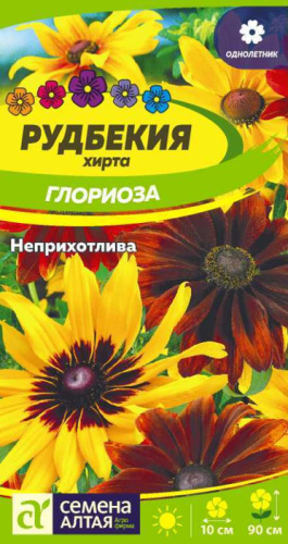 Рудбекия хирта Глориоза 