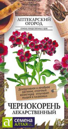 Чернокорень Лекарственный 