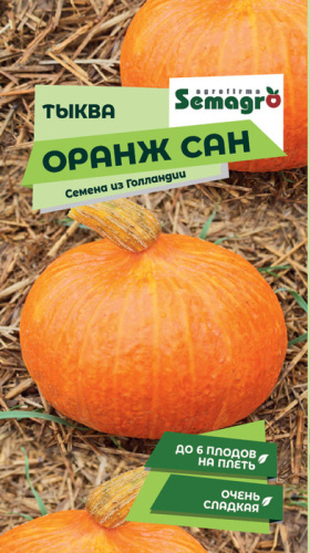 Тыква Оранж Сан 