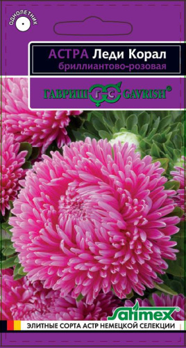 Астра Леди Коралл брилл.- розов. 