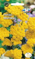 Лонас Малыш (инодора, карликовый)   купить