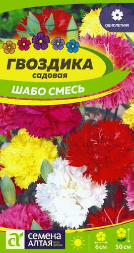 Гвоздика Садовая Шабо смесь