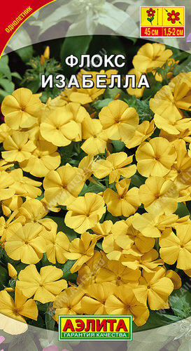 Флокс Изабелла 