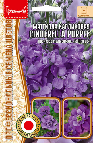 Маттиола Cinderella Purple карликовая