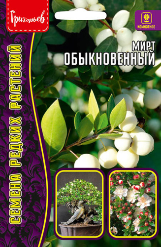 Мирт обыкновенный
