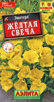 Энотера Желтая свеча  купить