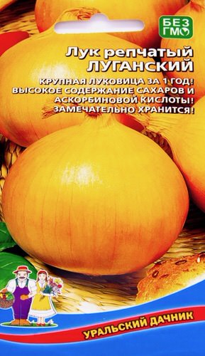 Лук (репчатый) Луганский 