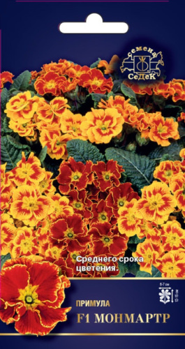 Примула Монмартр F1 бесстебельная
