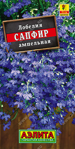 Лобелия Сапфир ампельная 