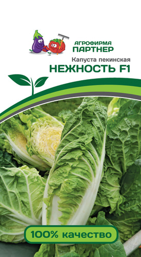 Капуста (пекинская) Нежность F1