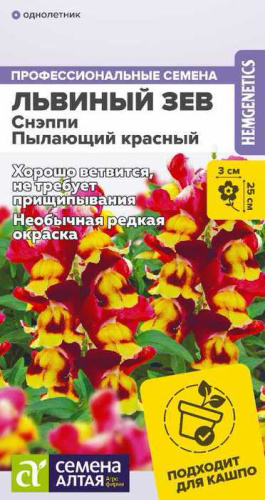  Львиный зев Снэппи Пылающий красный 