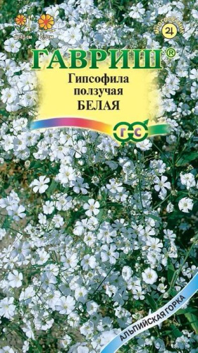 Гипсофила ползучая Белая 