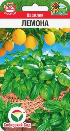 Базилик Лемона