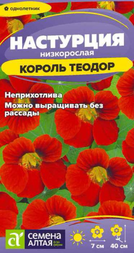 Настурция Король Теодор 