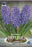 Гиацинт "Delfts Blauw" (1х3шт) купить