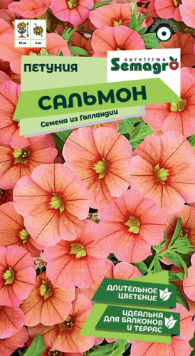 Петуния Сальмон