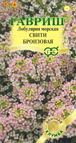 Лобулярия Свити бронзовая