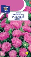 Астра Ковер Розовый низкорослая купить