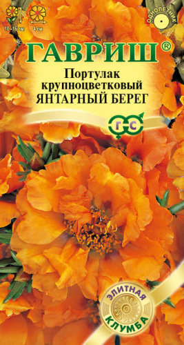 Портулак Янтарный берег 