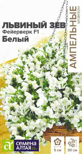 Львиный зев Фейерверк F1 белый Ампельные шедевры