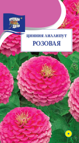 Цинния лиллипут Розовая 