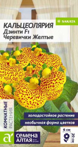 Кальцеолярия Дэинти Черевички желтые 
