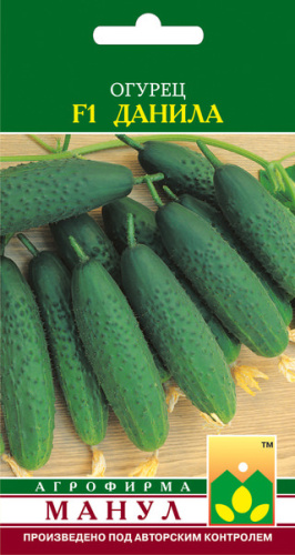 Огурец Данила F1 