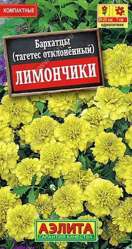 Бархатцы Лимончики отклоненные