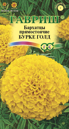 Бархатцы Бурке Голд прямостоячие
