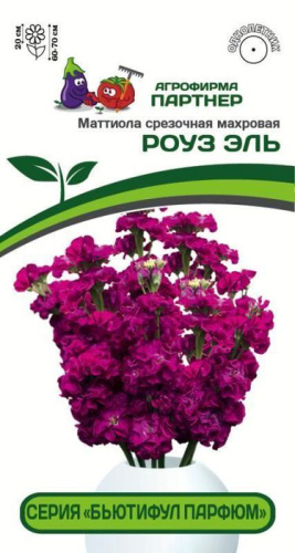 Маттиола Бьютифул Парфюм Роуз Эль срезочная махровая
