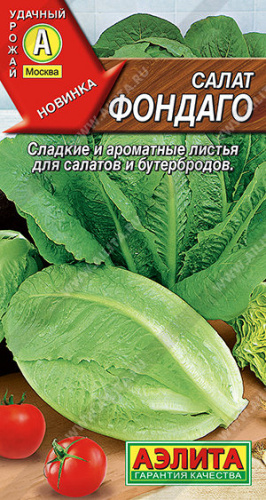 Салат Фондаго