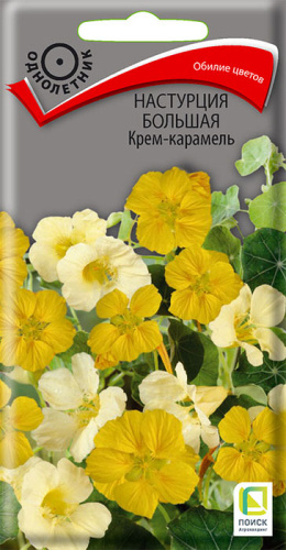 Настурция большая Крем-карамель